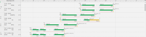 Figure 3 – Example of a solution produced by CREWS for the duty scheduling.